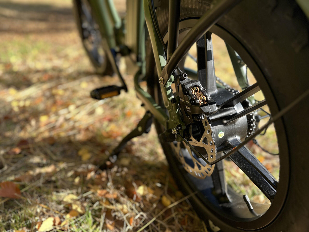Elcykel DOUCHEBIKE 250W SVAN - Hopfällbar - Räckvidd 100km