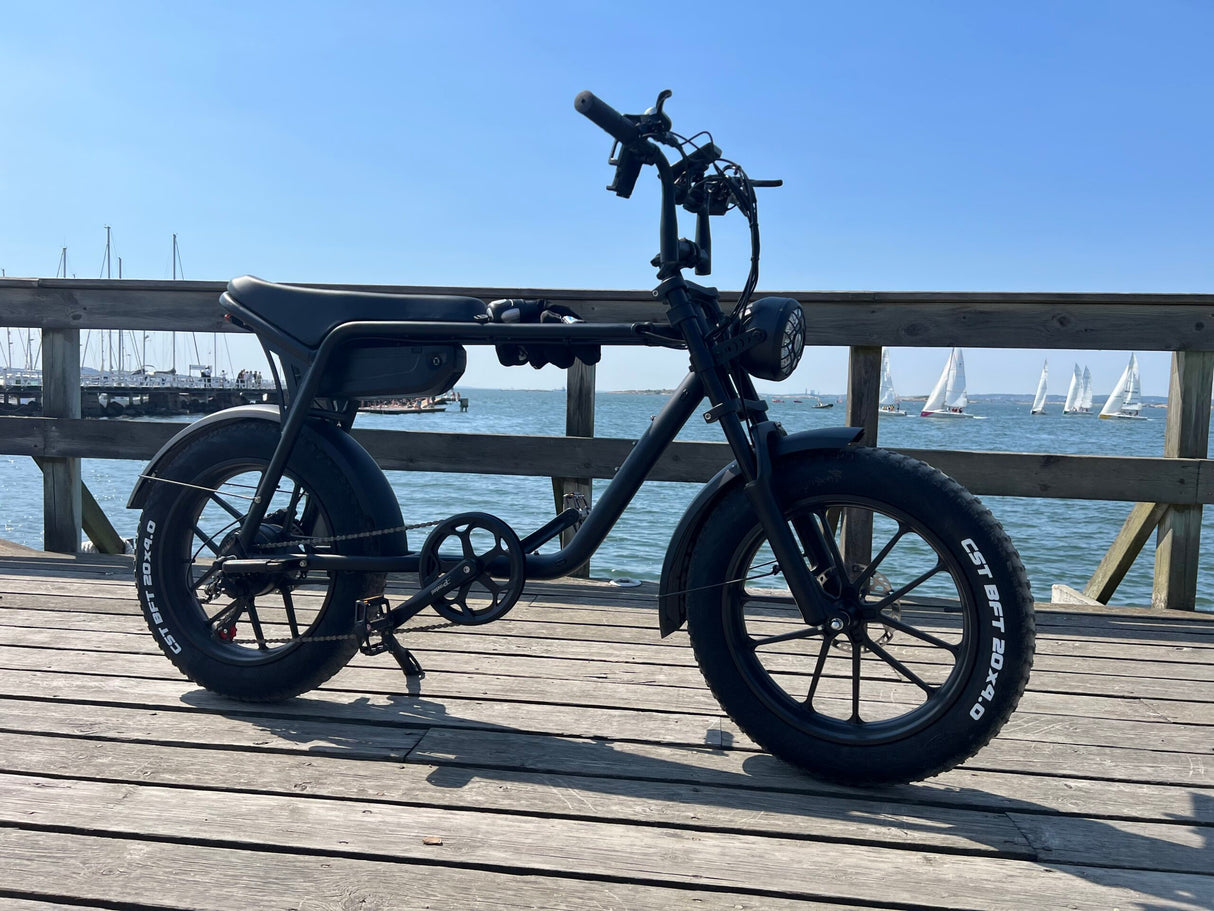 Elcykel DOUCHEBIKE 750W Limpan - räckvidd 60 km