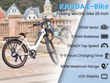 Elcykel DOUCHE Kaisa 250W