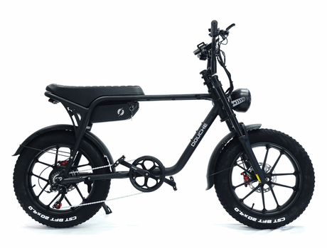 Elcykel DOUCHEBIKE 750W Limpan - räckvidd 60 km