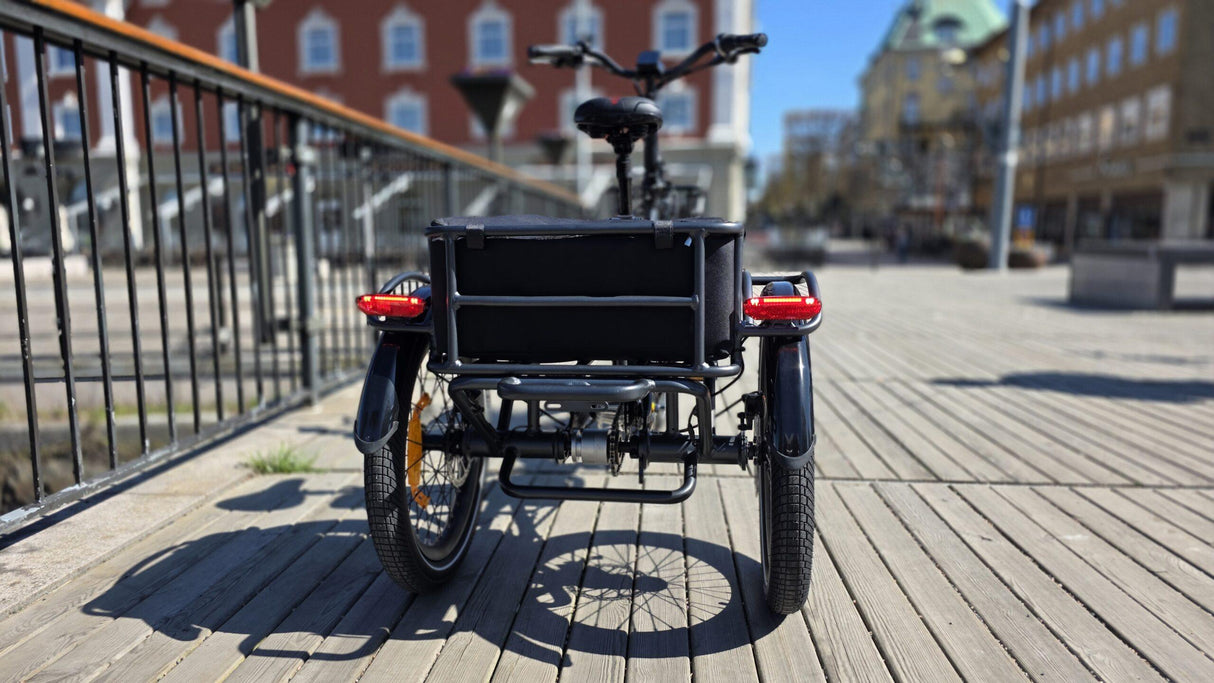 Elcykel DOUCHEBIKE 250W TRIKE - Trehjuling - PREMIUM