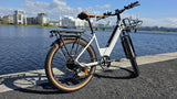 Elcykel DOUCHE Kaisa 250W