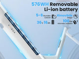 Elcykel DOUCHE Kaisa 250W