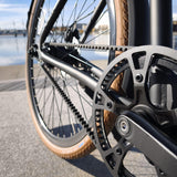 Elcykel DOUCHEBIKE 250W SP5000 - Remdrift - Räckvidd 80 km