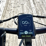 Elcykel DOUCHEBIKE 250W NIVO - 100km räckvidd