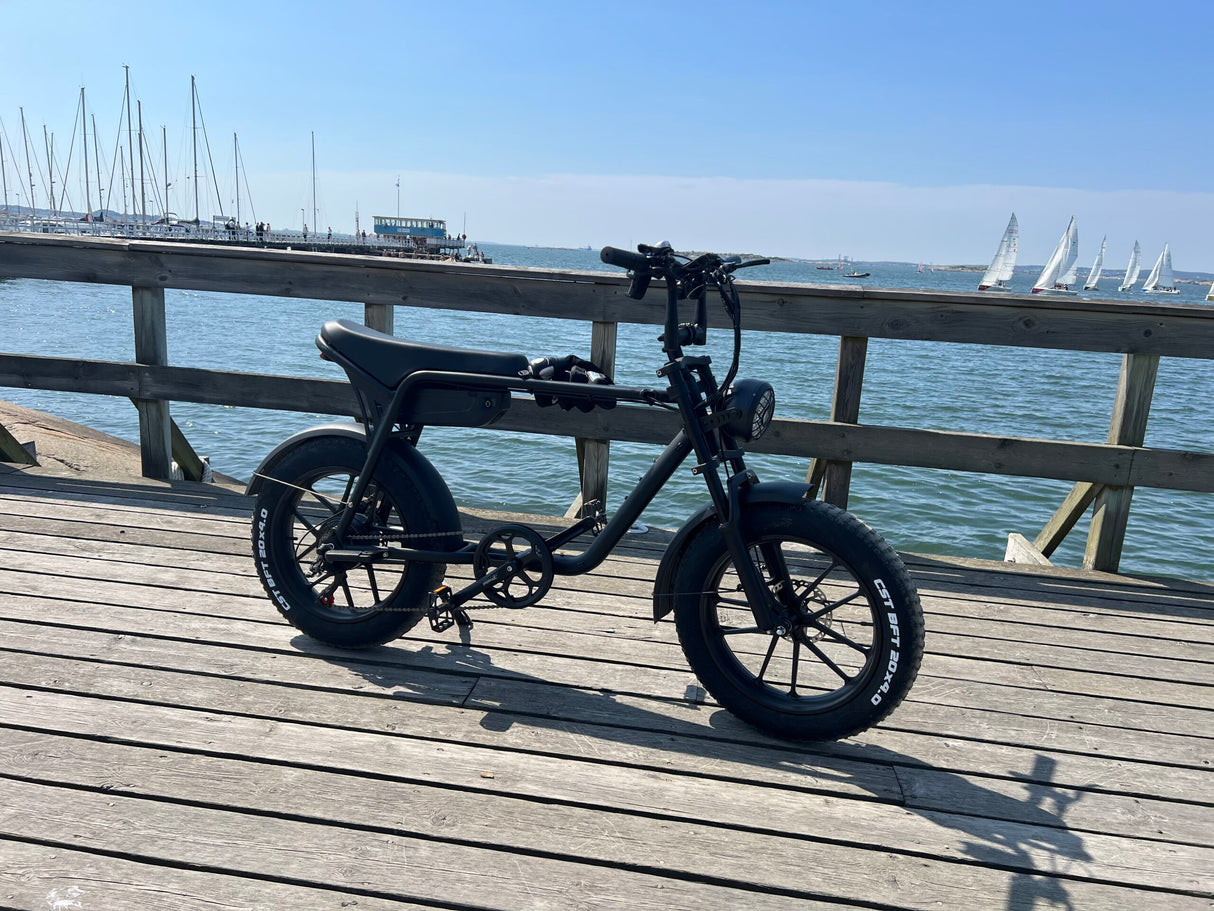 Elcykel DOUCHEBIKE 750W Limpan - räckvidd 60 km