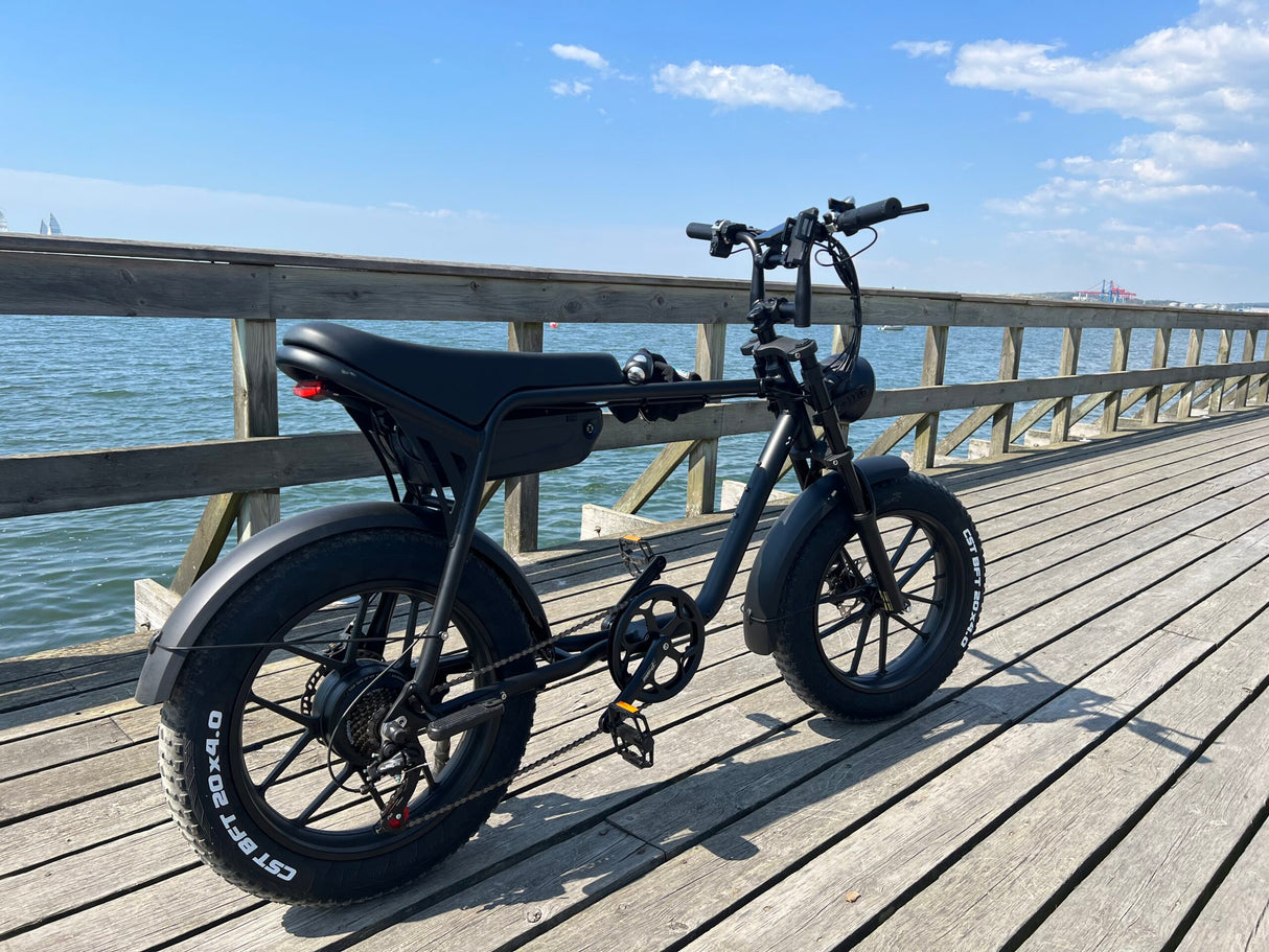 Elcykel DOUCHEBIKE 750W Limpan - räckvidd 60 km