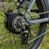 Elcykel DOUCHEBIKE 250W NIVO - 100km räckvidd