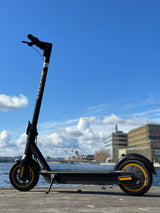 Elscooter DOUCHE REKO - 250W - 35 km räckvidd