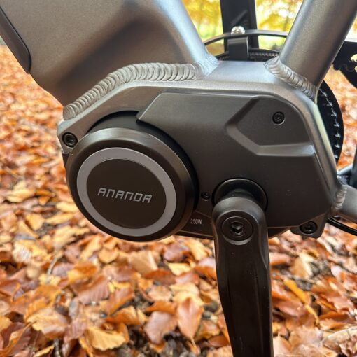 motorn scaled elcykel Elcykel DOUCHEBIKE 250W ELIT med remdrift - räckvidd 110km